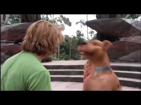 Scooby Doo - No Scooby Doo Your Mom Eats Cat Poop