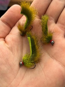 Pine Squirrel Leech - Size 10, FL Chartreuse - Etsy Canada