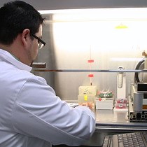 Video: Bioprintable Alginate/Gelatin Hydrogel 3D In Vitro Model Systems Induce Cell Spheroid Formation