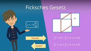 Ficksches Gesetz: 1. und 2. Ficksches Gesetz