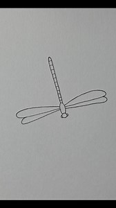 Dragonfly drawing | Mini Drawing