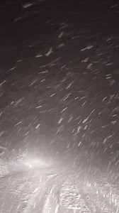 La foresta di Vallombrosa in Toscana, ai piedi del Monte Secchieta vicino Firenze, stanotte prima dell'alba sotto una spettacolare nevicata.. oltre 10cm di neve fresca! ❄️😍🔝🖼️📸🏞️🌨️ #montagna #appennini #neve #vallombrosa #secchieta #primavera #toscana | Passione Neve & Montagna
