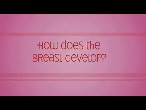 Breast Biologues Ch. 2: How Does the Breast Develop?