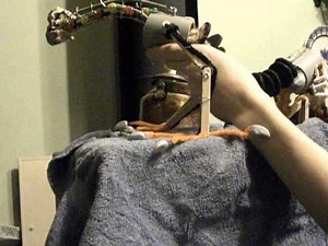 Shoulder Dragon Puppet mechanism