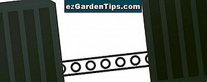 Der Lebenszyklus von Dryopteris 🌱 Tipps Gärtner - De.ezGardenTips.com