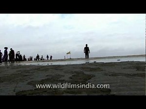 Devotees gather at Alang!