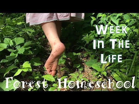 #BarefootChallenge | Last Week of School w/ 5 Kids | 1000 Hours Outside