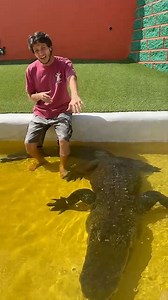 81K views · 718 reactions | WAIT FOR THE END! Watch as Alex talks...