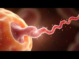 Male Ejaculation: What’s REALLY Happening Inside (Updated)