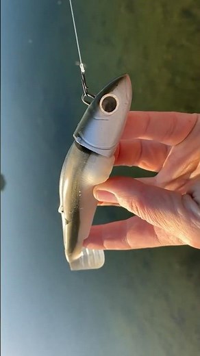 How to Rig a fiiish black Minnow lure #lurefishing #blackminow #fiiish #softplasticlures