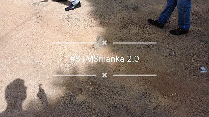  Embracing the Majesty of Kandy Elephant Orphanage  Step into a...