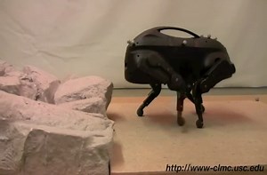 Completely autonomous robot: The LittleDog.