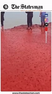 🎥 Iran's Red Beach Turns Crimson: 'Blood Rain' Phenomenon Caused by Iron-Oxide Rich Soil #bloodrain #Iran #RedBeach | The Statesman