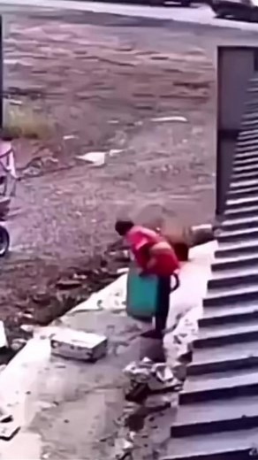 15K views · 230 reactions | When surviving a dangerous situation, have a drink! | Global Gibbon | Facebook