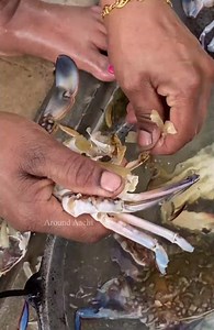 Fresh Crab Cleaning 🦀 | Seafood | How to clean crab #crabcleaning #crab #nandu #seafood #village