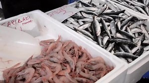 Salesman Who Takes Paddle Shrimp Stored: Video có sẵn (100% miễn phí bản quyền) 18301822 | Shutterstock