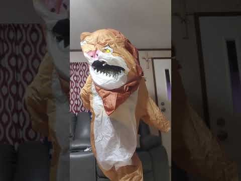 My inflatable lion costume rawr!