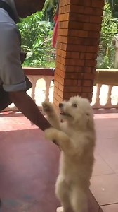 එයාලගේ ආදරේ හරි අවංකයි 梁 | Love Story | Facebook