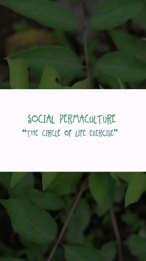 Understand your spiritual life thru this circle of life pie chart. 🧘‍ Watch 👀 full video to learn more on how you will assess your life today in the diverse categories of life. . . . . #piechart #circleoflifepiechart #chart #pie #charts #circleoflife #life #spiritual #spirituality #success #lifequotes #lifegoals #lifestyle #goals #lifeassessment #assess #assessment #understandinglife #understanding #understandyourself #innerpeace #innerspace | Atitlan Organics