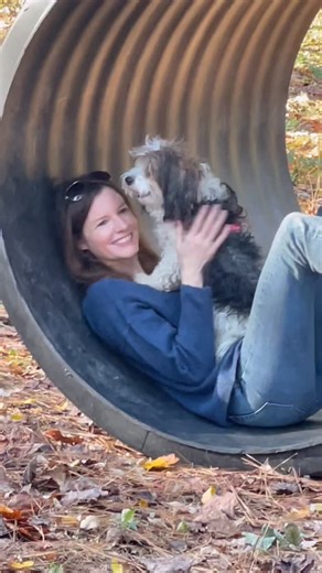 🐕🐕‍🦺Bring YOUR dog/s to try out all the new dog agility equipment at 🌲Forest Dog Private Playground at Winterpast Farm in Wake Forest NC‼️🎁Gift your dog or a friends dog/s a visit🎄🎁‼️ 🥳We host dog (and human ) Birthday parties here‼️🎉🎈 🌲Forest Dog Private Playground in Wake Forest NC is OPEN DAILY for a fun 4 acre FULLY FENCED unleashed snifari for dogs. Text Farmer Mary at 919-244-1800 to schedule a visit with YOUR dog/s. 🌲Forest Dog Private Playground is located at 12936 Ghoston Ro