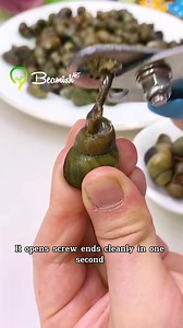 Stone Snail Cutter Tail Removal Tools | Kirikitiw