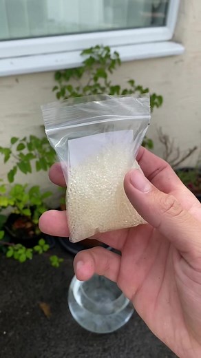 Jake Sweet on TikTok