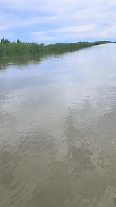 10K views · 175 reactions | Heather Smith Outdoors on Reels | Facebook