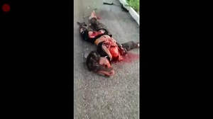 TOP TEN COMPILATION OF HORRIBLE DEAD