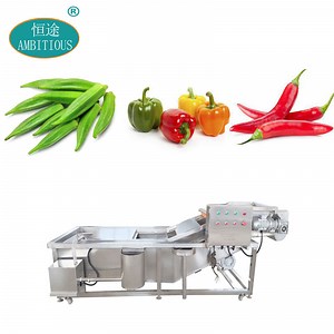[Hot Item] Fruit Vegetable Okra Chilli Pepper Air Bubble Washing and Cleaning Machine