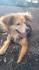 2.6K views · 40 reactions | Hugo at Lake Catemaco again Would you...