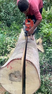 246K views · 2.5K reactions | Proses memotong kayu medang ladi #operator #Mesin #gergajikayu #woodworking | Reki Fernando | Facebook