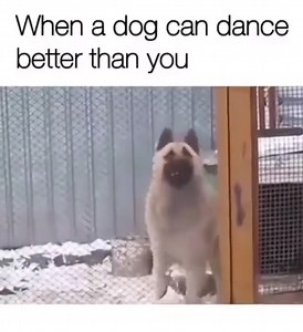 2.6K views · 84 reactions | The Hunger Site by GreaterGood on Reels | Facebook