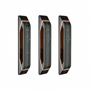 [Hot Item] 3D Face Unlock APP Unlock Smart Door Lock