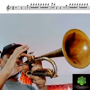 🔥🔥🔥🔥🔥🔥 MONTIELTRUMPET with Mandala Trumpet Pleyades 7 Estrellas - El Cumbanchero! #TrumpetLovers #TrumpetHero #TrumpetMaster #TrumpetPlayer #Colombia #mandalatrumpet ▶Mandala Trumpet by Julio Otaegui van der Schraft! | Trumpet Lovers