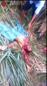 A MAN EATEN BY A TIGER IN INDIA