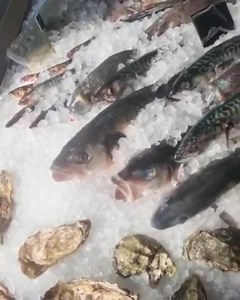 Seafood Shack on Reels | Facebook