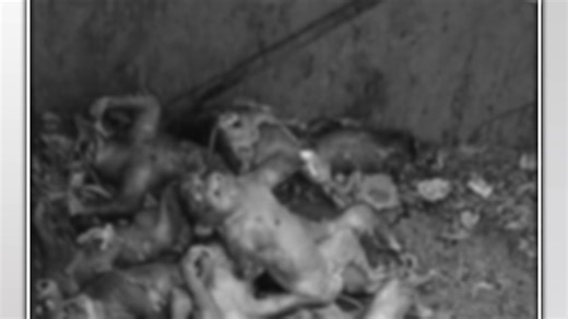 पानी की टंकी में मिले बंदरों के शव