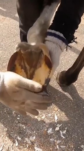 Amazing Meme on Reels | Facebook