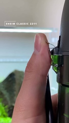 The Scaper’s Room on Instagram: "EHEIM FILTER＋ADA LILY PIPE: A MINIMAL CANISTER FILTER SETUP TUTORIAL #aquarium #aquascape #natureaquarium #eheimfilter #canisterfilter #ada #lilypipe #aquascaping #iwagumi #nanoaquarium #アクアリウム #外部フィルター #小型水槽 #リリィパイプ"