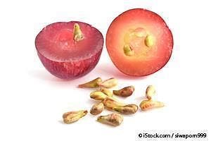 The Health Benefits of the Grape Seed