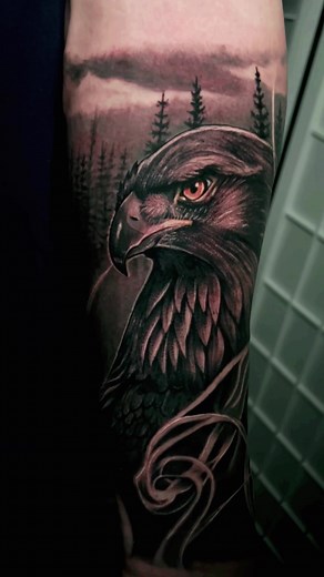 Red Tailed Hawk #tattooideas #redtailedhawk #tattootiktok #hawktattoo #hawks #tattooartist #tattooart #fypシ