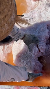 10K views · 719 reactions | Trona days filled with salt, sun and the thrill of uncovering halite straight from the source. These moments never get old.勺 #omearthcrystals #halite #crystalmining #crystalcollecting #crystals | Omearthcrystals | Facebook