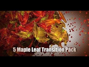 5 Maple Leaf Transition Pack | Motion Graphics - Videohive template