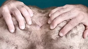 Culo peludo
