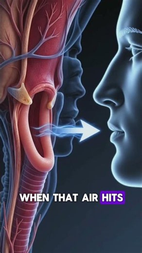 Why Do We Get Hiccups? 🤔