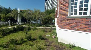 La série SORTILEGE - c'est du Lundi au vendredi à 18H30 sur Novela F Plus 📡615 Alejandro dit à maria jose qu'ils vont récupérer leur vie, car lui aussi se sentait perdu sans elle et que tous ceux qui l'aiment veulent l'aider à se souvenir. Maura demande à raquel si alejandro envisage de porter plainte contre ulises pour l'enlèvement de maria jose. Raquel répond qu'ils attendent que maria jose se souvienne de ce qui s'est passé et qu'elle est sous traitement pour retrouver sa mémoire. Maura devi