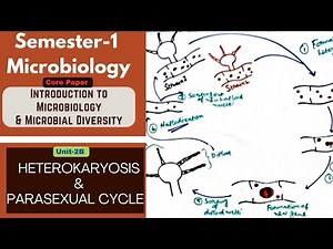 Topic: Homothalism & Heterothalism | Heterokaryosis & Parasexual cycle|