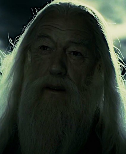 Harry Potter HBO: Dumbledore Casting & Filmmaker Insights