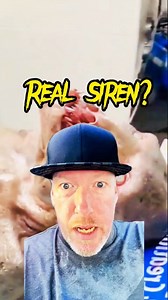 Real Siren? #fyp #viralreels #reelsviral #siren #mermaid #creatures | Ryan Johnston