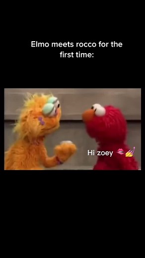 Rocco is just a rock…#elmo #elmoslays #rocco #elmosworld | hello rocco